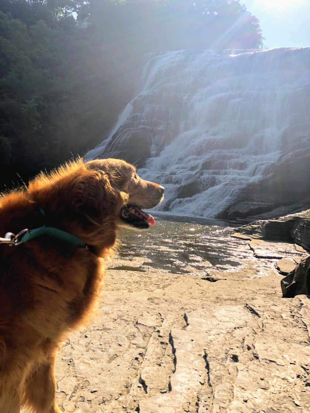 Day Trip to Ithaca Falls in Upstate New&nbsp;York