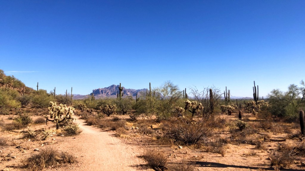 Blevins Trail at Usery Mountain Regional Park