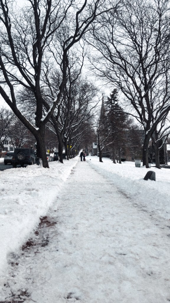 Snowy sidewalk with snow covered trees in a cute, wintery town in Upstate New York