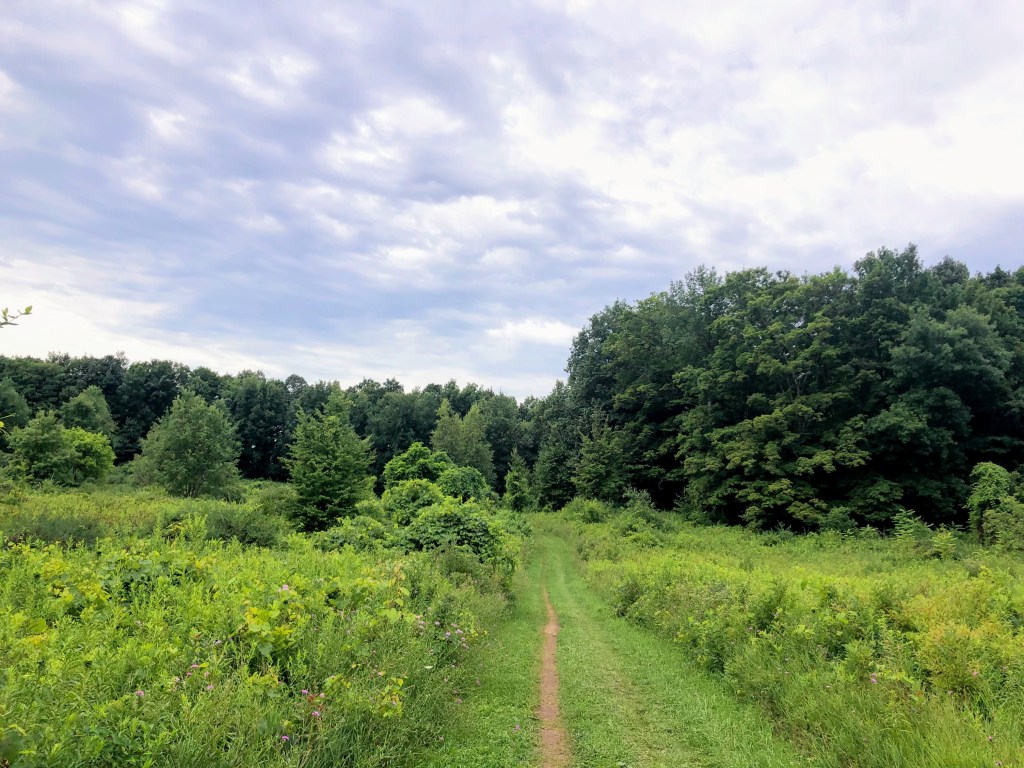 Hiking Deer Run Trail at Green Lakes State Park in Syracuse, New&nbsp;York