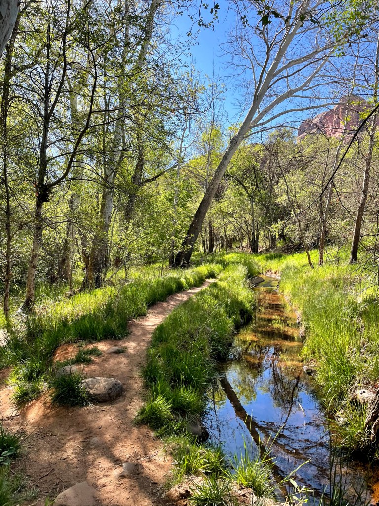A vibrant green path leading the way to a swimming hole in Sedona, Arizona