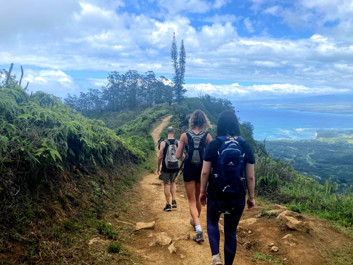 Hiking the Waihe’e Ridge Trail on&nbsp;Maui