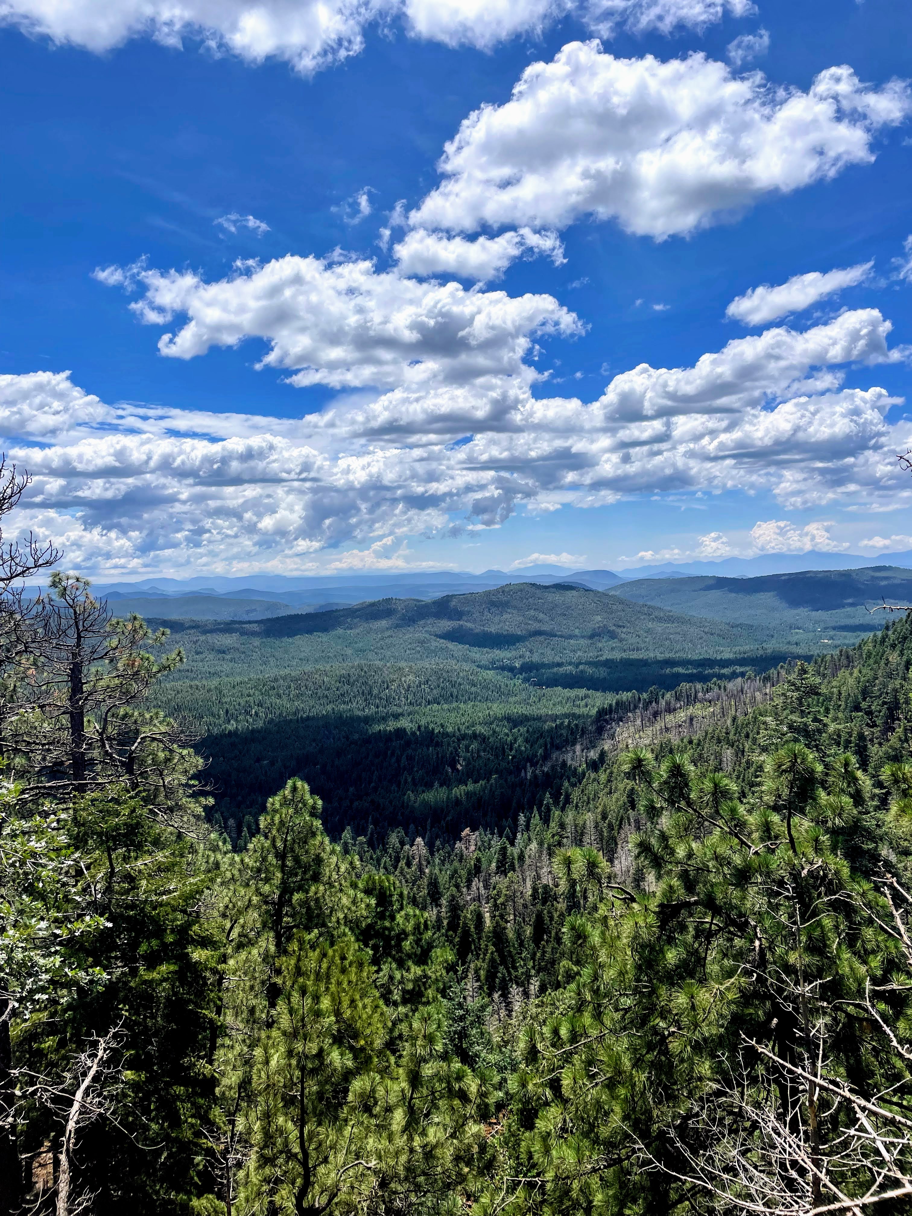 Day Trip Inspo to Payson from Phoenix, Arizona