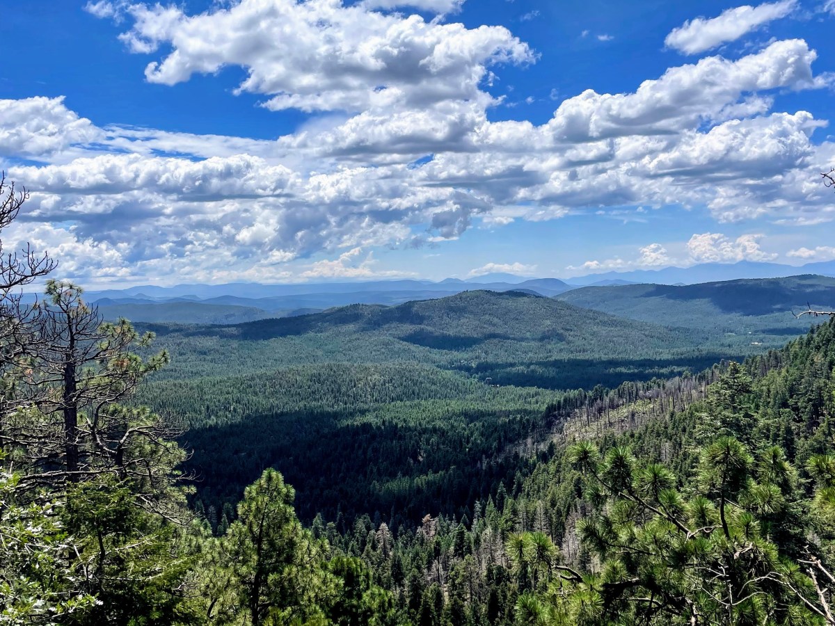 Day Trip Inspo to Payson from Phoenix,&nbsp;Arizona