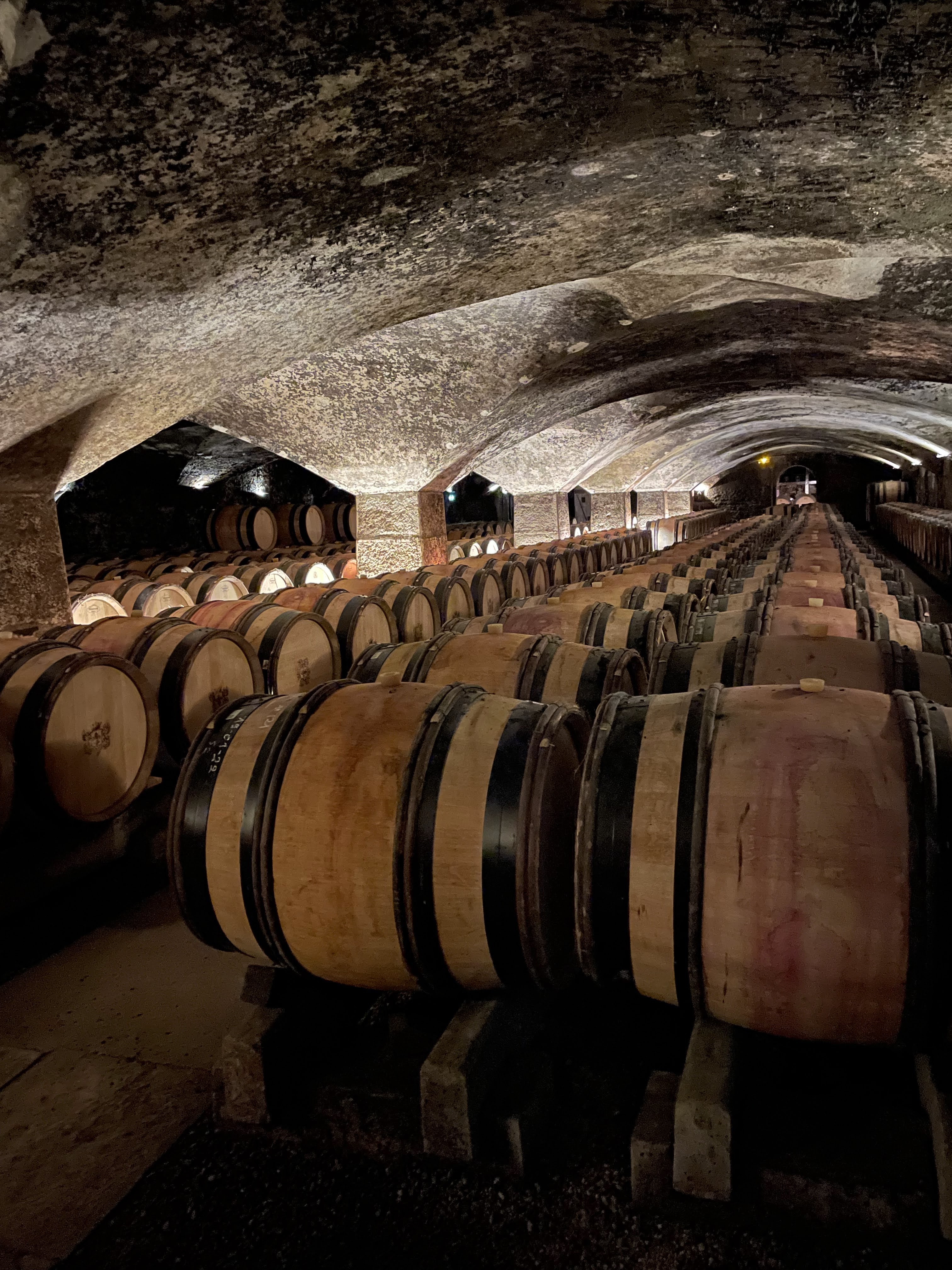 a celler for wine making, consisting of hundreds of barrels of wine, some from the 12th century