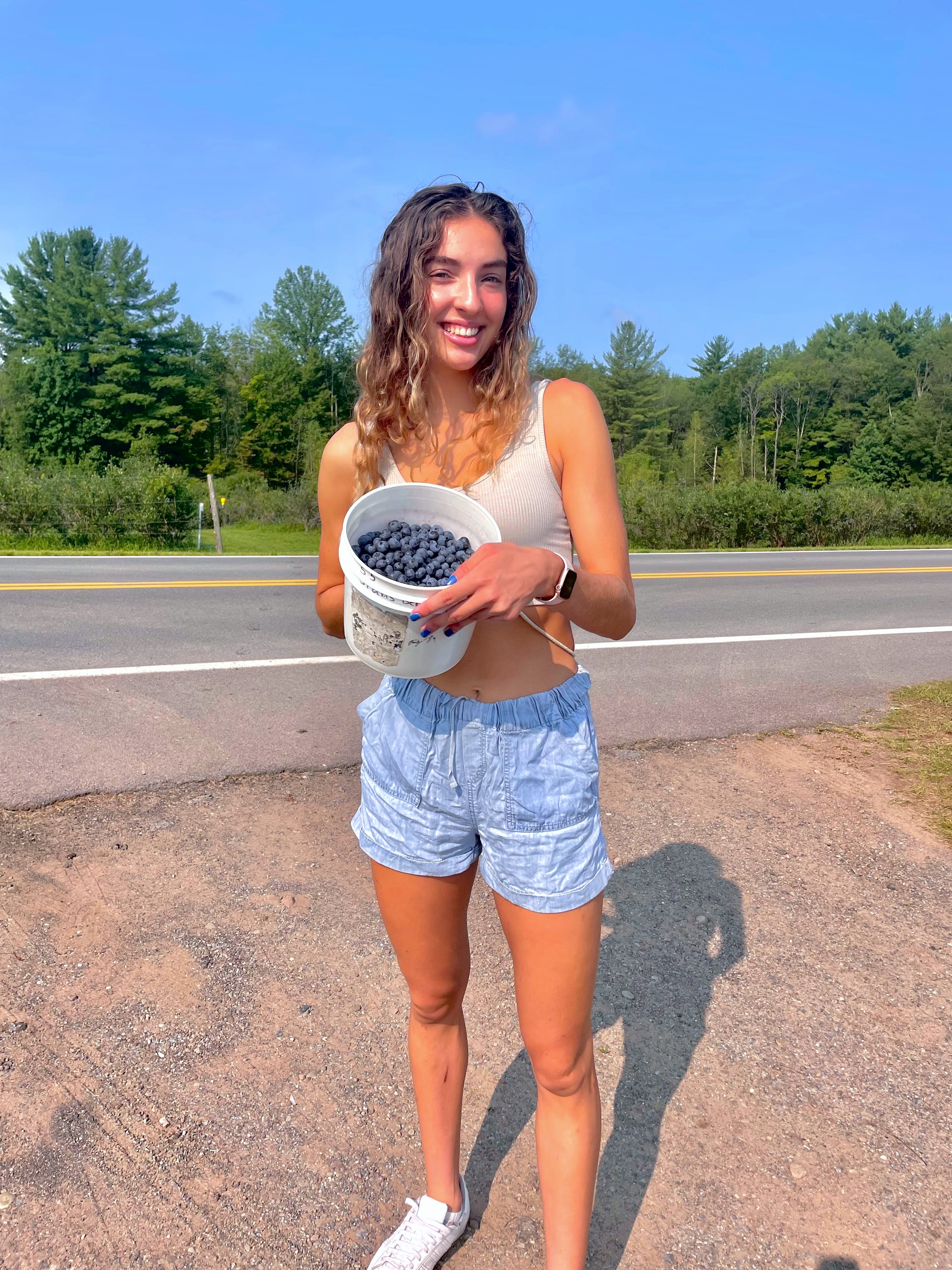 Where to Go Blueberry Picking in Central New York