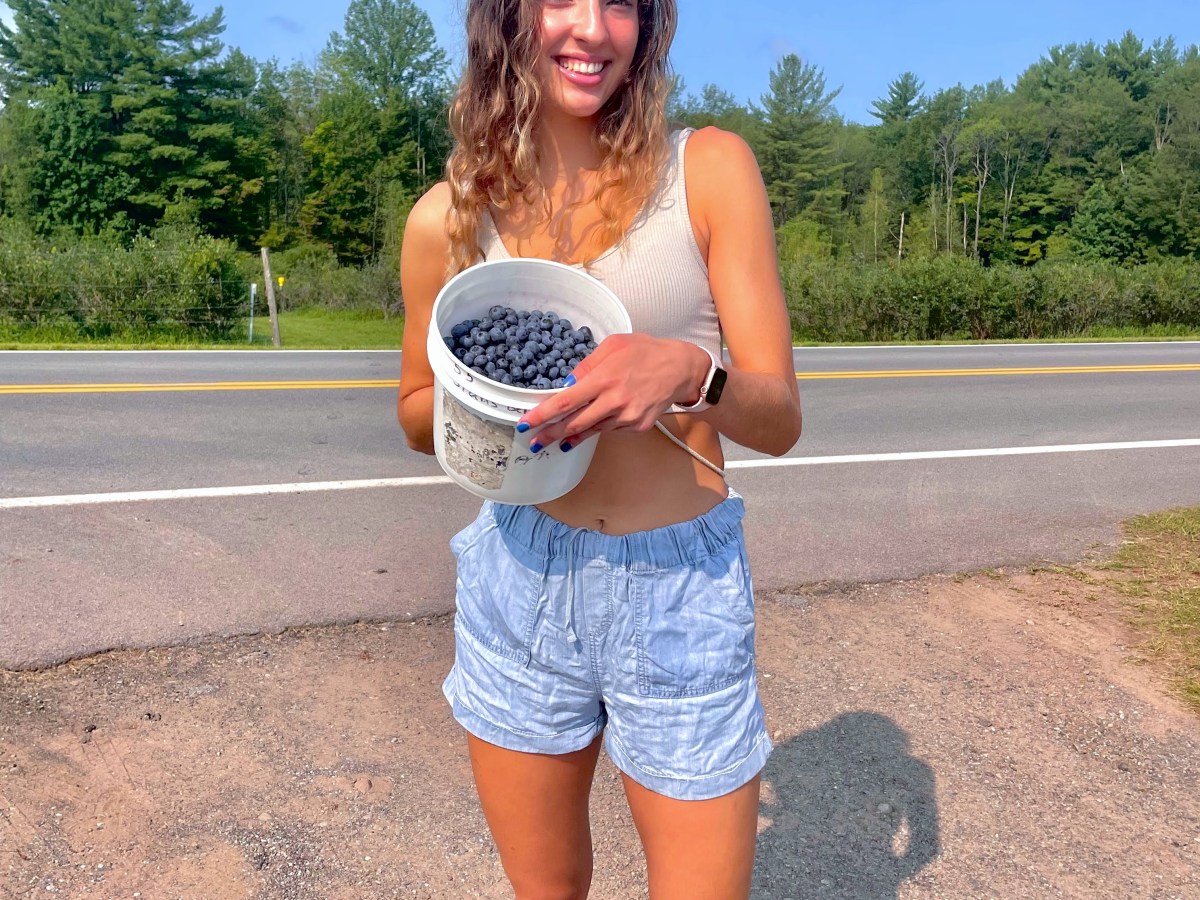 Where to Go Blueberry Picking in Central New&nbsp;York
