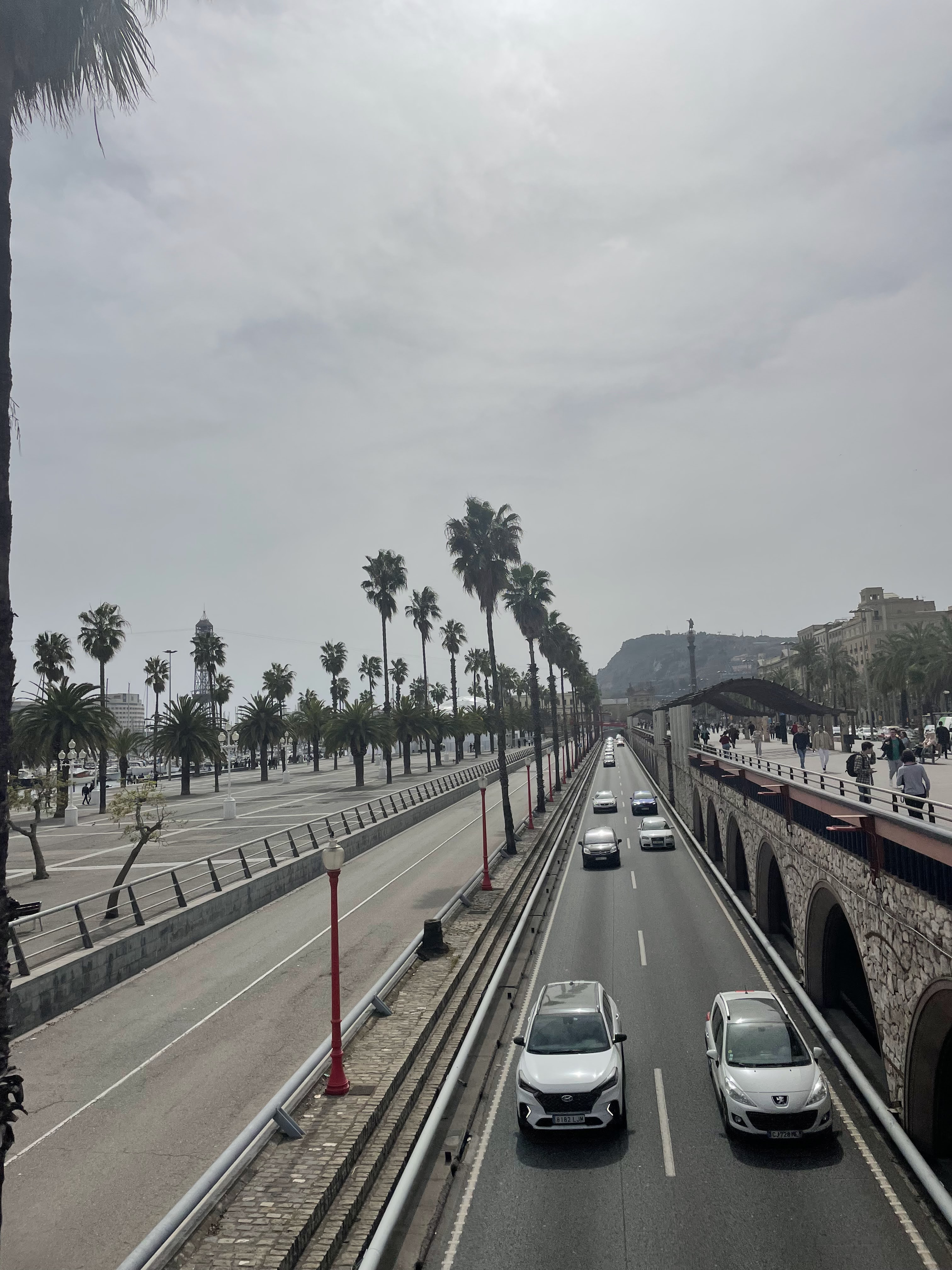 cars driving along the highway lined with palm trees in Barcelona, Spain