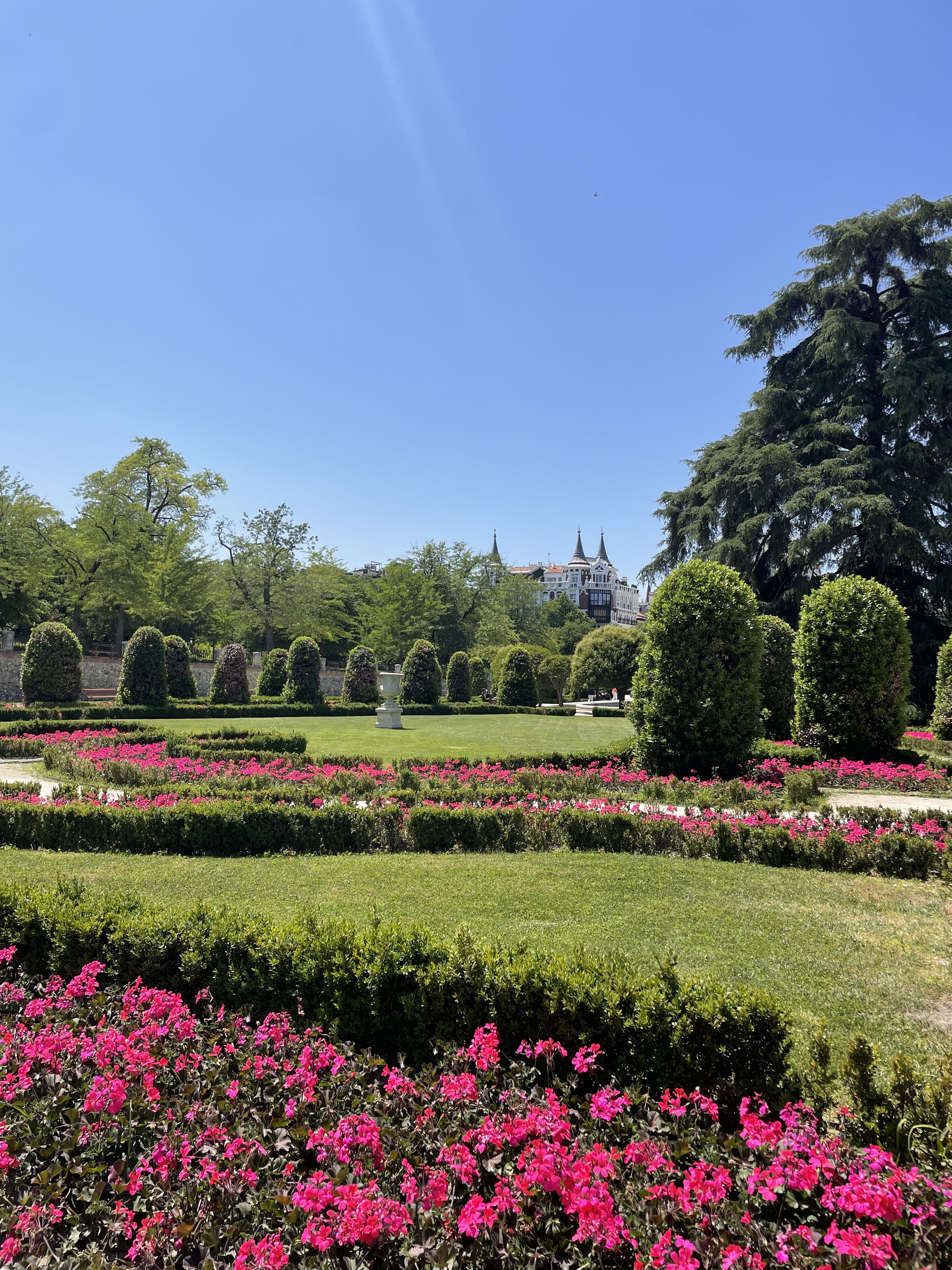 Vibrant pink flowers throughout a gorgeous green garden with shrubs and trees in El Retiro Park in Madrid, Spain