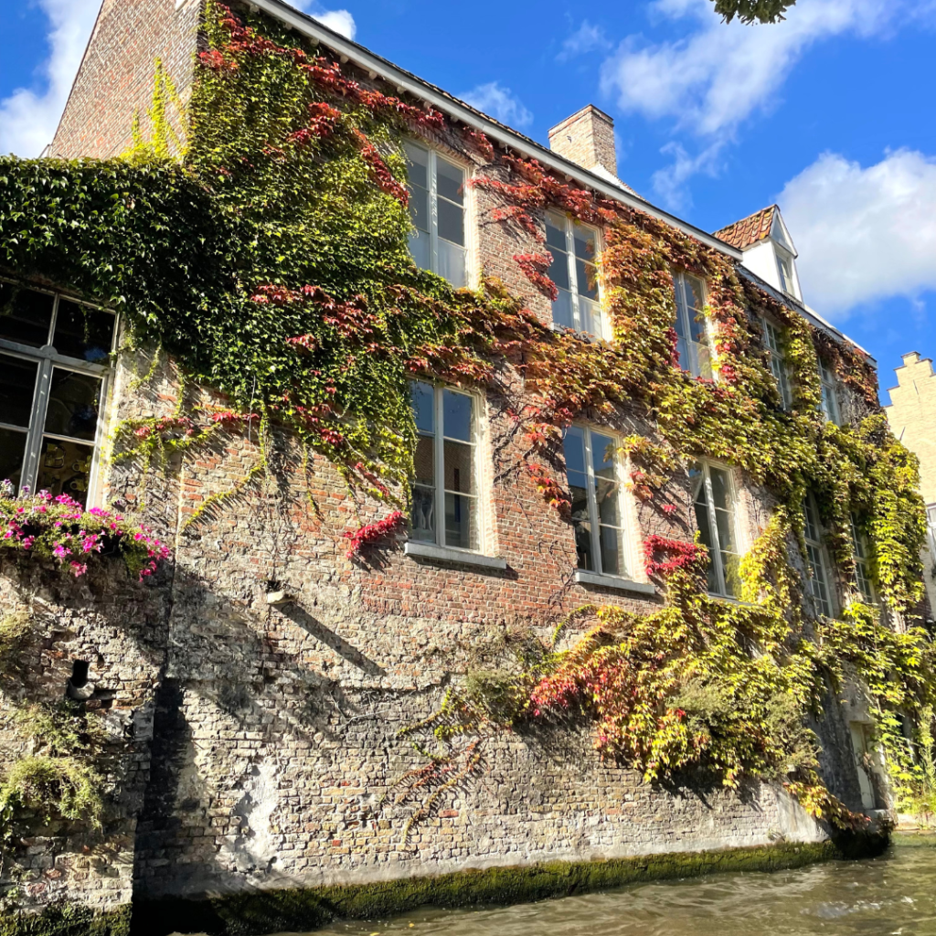 A brick house on the bank of the canal in Bruges, Belgium, covered in orange, red, and green ivy leaves on a sunny day in September
