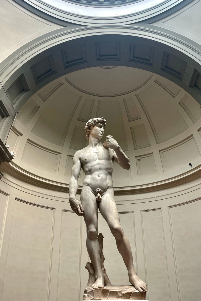 The Statue of David at the Accademia Gallery in Florence, Italy