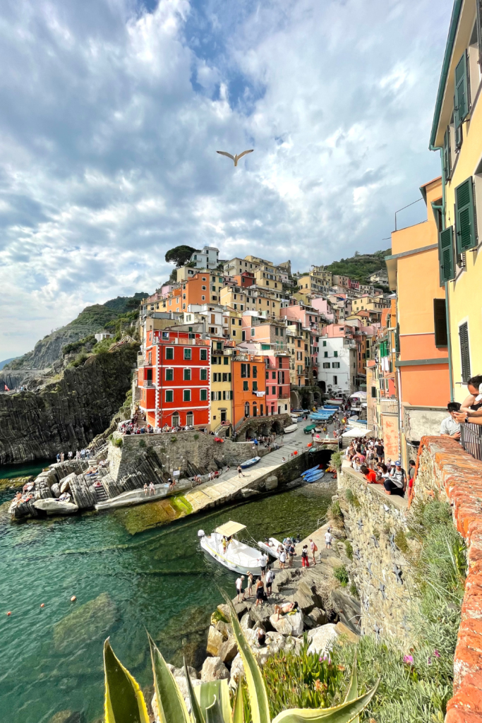The famous view of the colorful buildings in Riomaggiore in Cinque Terre, Italy, with a seagull flying over.