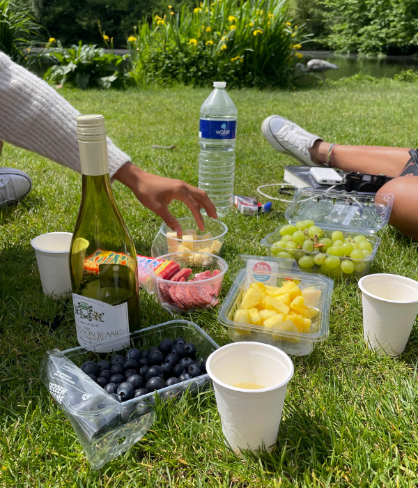 A picnic at Vondelpark in Amsterdam, the Netherlands, on a sunny summer day, with blueberries, wine, pineapple, grapes, charcuterie, and chocolate.